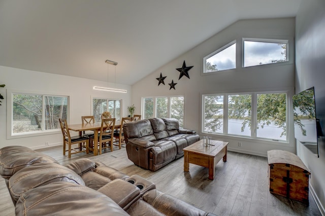 living room with hardwood / wood-style flooring, high vaulted ceiling, and plenty of natural light