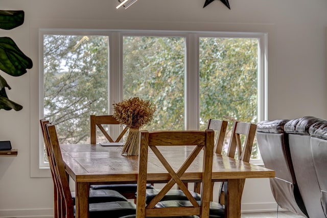 dining space with a healthy amount of sunlight