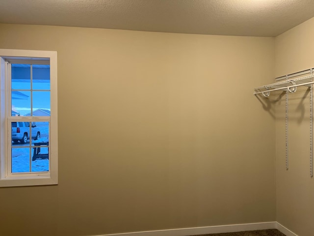 walk in closet featuring carpet floors