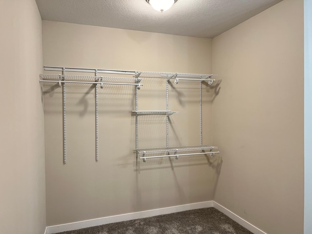 walk in closet featuring dark colored carpet