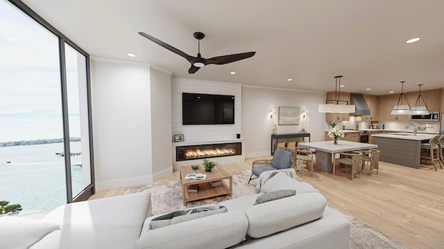 living room featuring light wood-type flooring, plenty of natural light, sink, and a water view