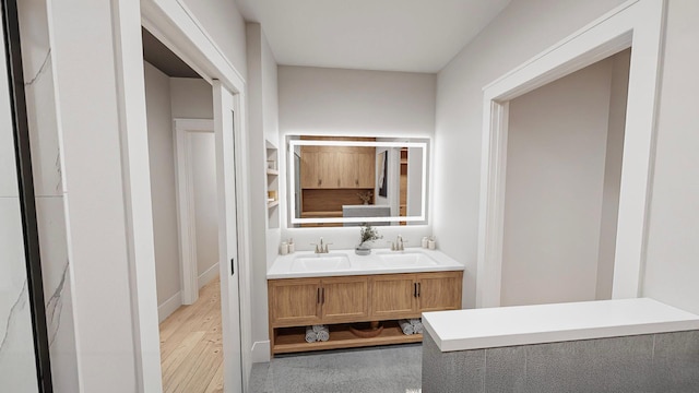 bathroom featuring wood-type flooring and vanity