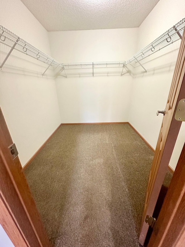 walk in closet with carpet floors