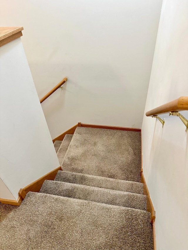 staircase featuring carpet flooring