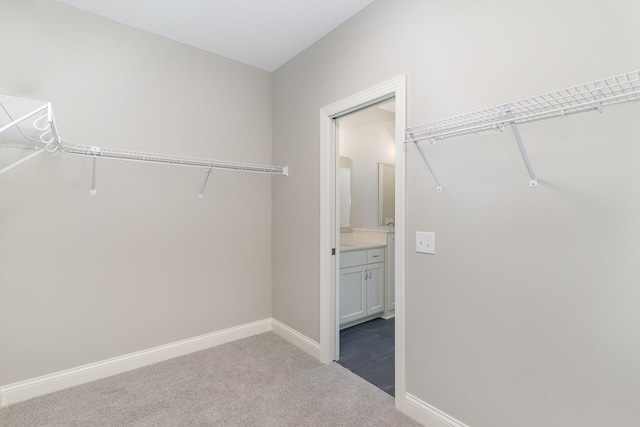 walk in closet featuring carpet flooring