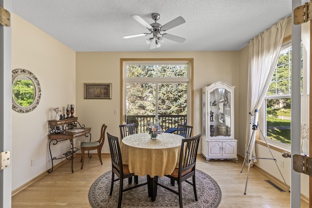 dining room with light hardwood / wood-style floors, a wealth of natural light, and ceiling fan