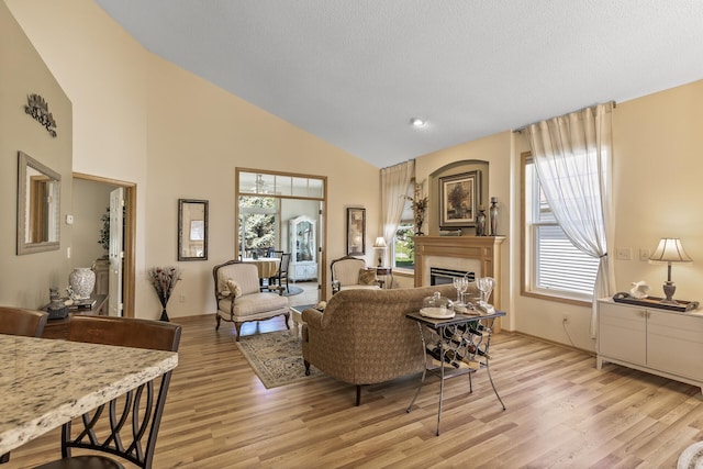 living room featuring light wood-type flooring, high vaulted ceiling, and plenty of natural light