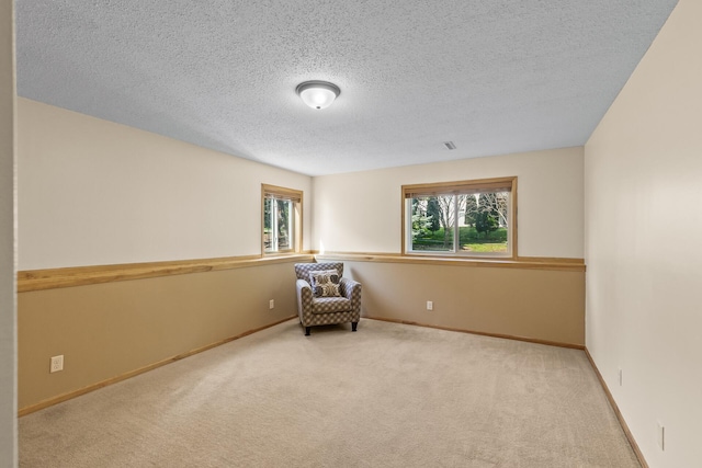 unfurnished room with a textured ceiling and carpet flooring