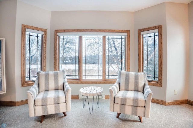 living area with light colored carpet