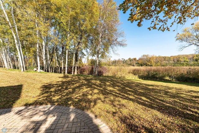 view of yard featuring a patio area