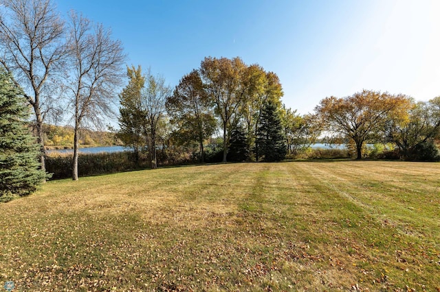 view of yard with a water view