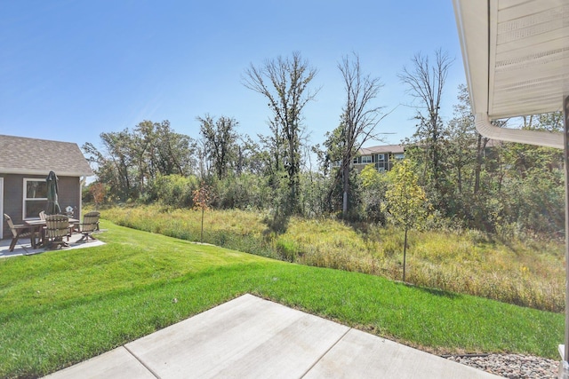 view of yard featuring a patio area