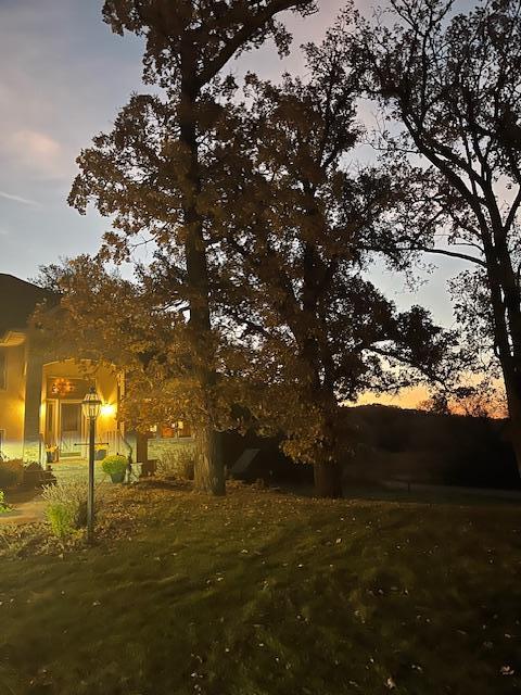 view of yard at dusk