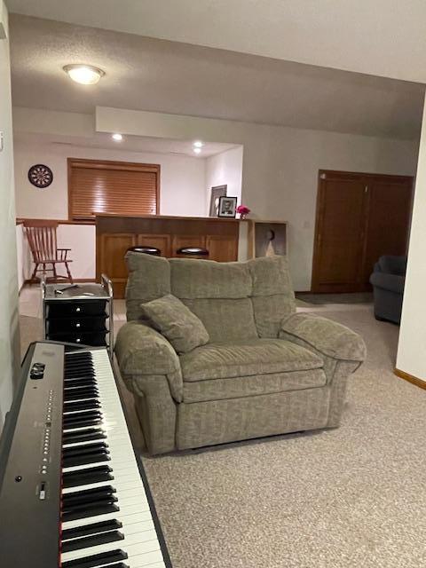 living room featuring light colored carpet