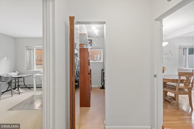 2928 Dean Pkwy Unit 2J, Minneapolis, MN 55416 - corridor featuring a wealth of natural light