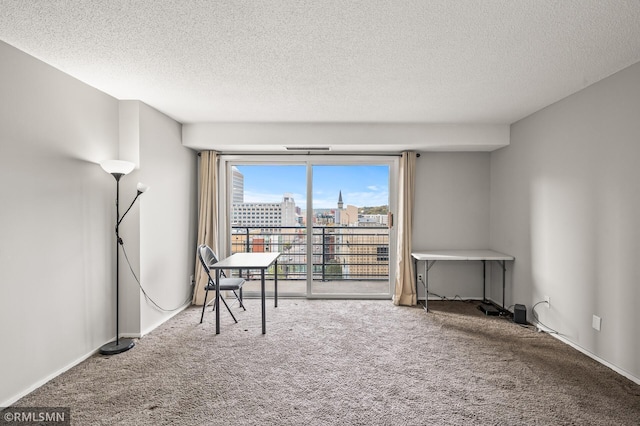 interior space with a textured ceiling and carpet flooring