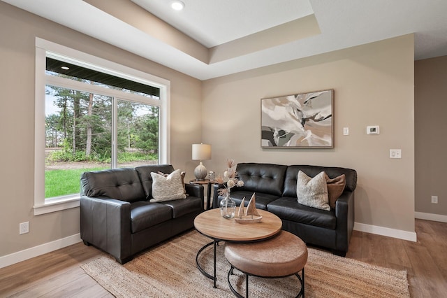 living room featuring light hardwood / wood-style flooring and a tray ceiling