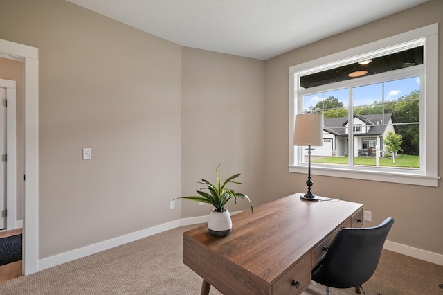 office featuring carpet floors