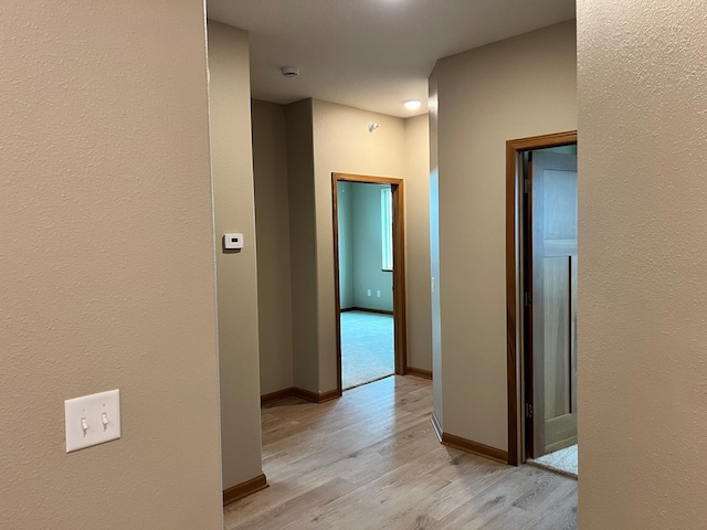 corridor featuring light hardwood / wood-style floors