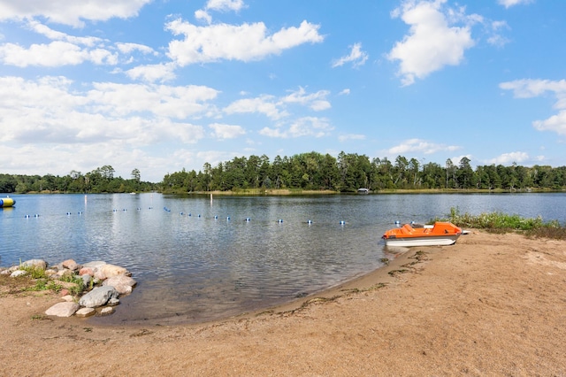 property view of water with a view of trees