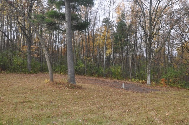 31071 State 34, Akeley Twp, MN 56433 - view of yard with a view of trees