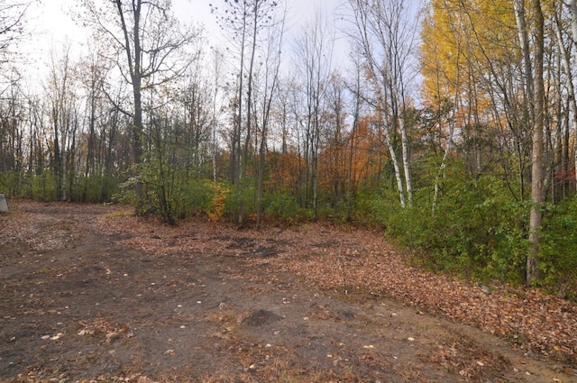 31071 State 34, Akeley Twp, MN 56433 - view of nature featuring a forest view