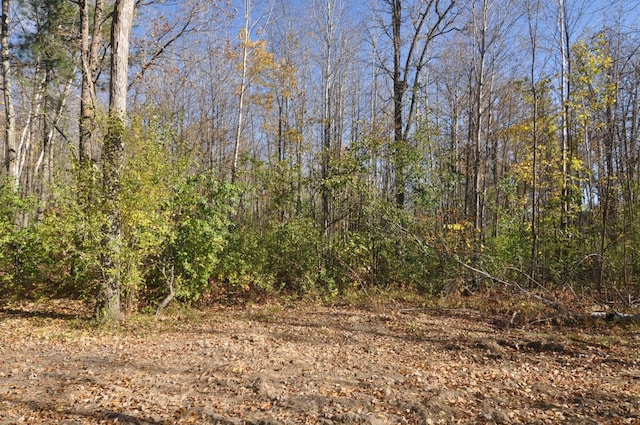 31071 State 34, Akeley Twp, MN 56433 - view of landscape featuring a wooded view