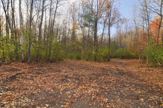 31071 State 34, Akeley Twp, MN 56433 - view of landscape with a view of trees