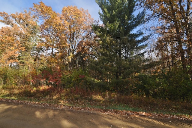 31071 State 34, Akeley Twp, MN 56433 - view of local wilderness