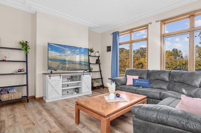 living room featuring light hardwood / wood-style floors and ornamental molding