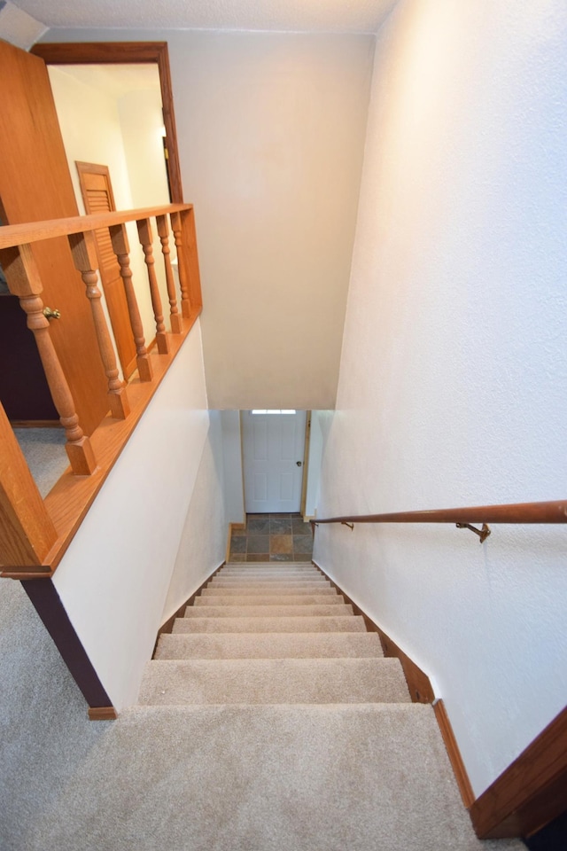 stairway featuring carpet flooring