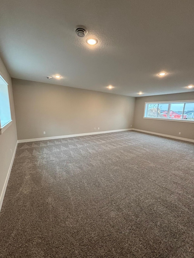 basement with carpet and a textured ceiling