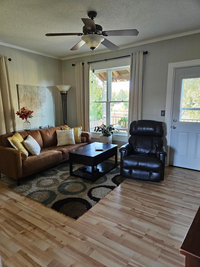 living room with light hardwood / wood-style flooring, a textured ceiling, and crown molding