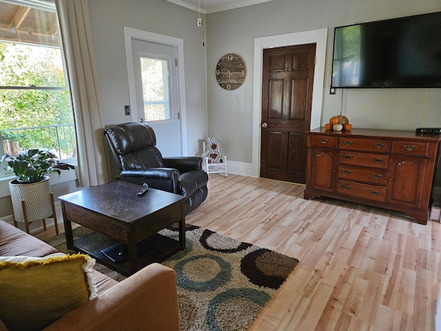 living room featuring light hardwood / wood-style flooring and crown molding