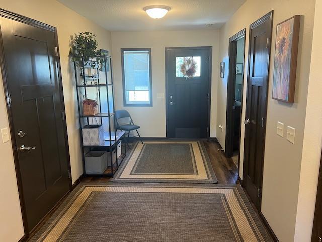 entryway featuring dark hardwood / wood-style flooring