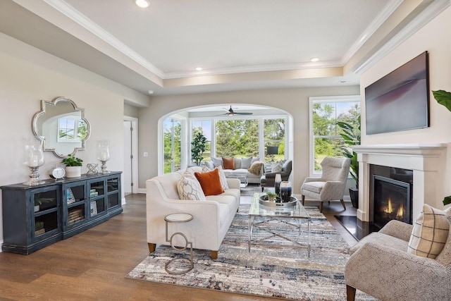 living room featuring a glass covered fireplace, a wealth of natural light, a tray ceiling, and ceiling fan