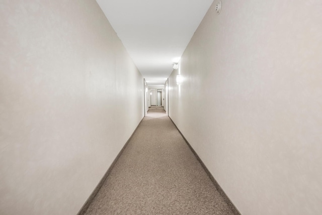 corridor with light carpet