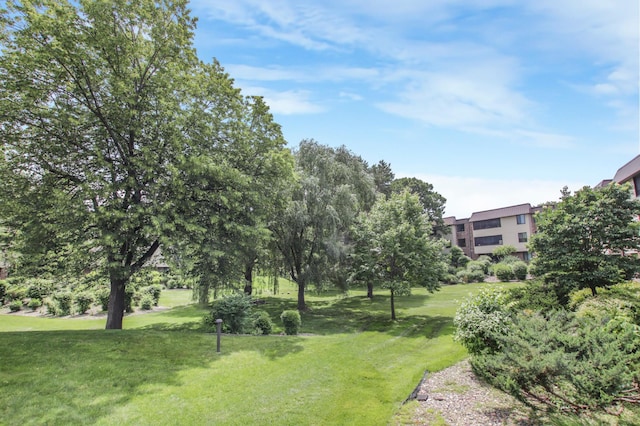 view of home's community featuring a yard