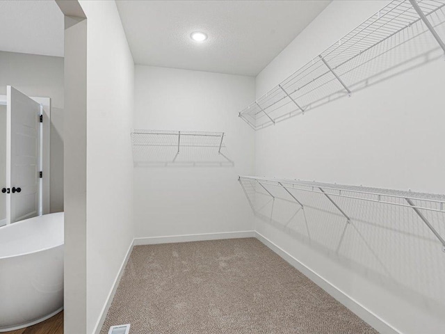 spacious closet featuring carpet flooring