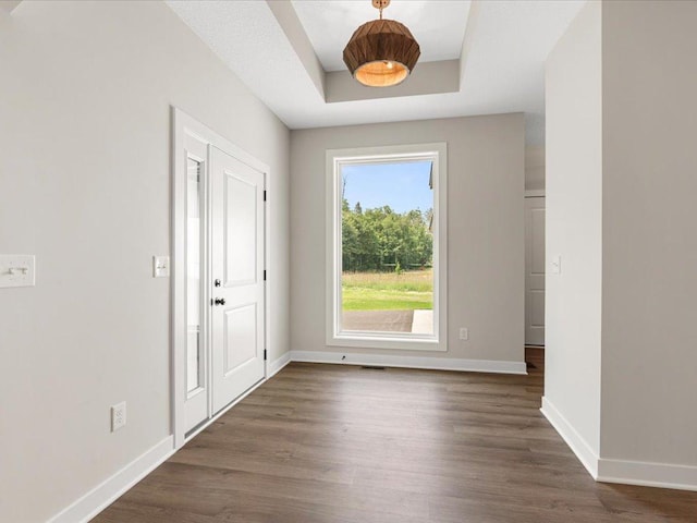 foyer entrance with a raised ceiling and dark hardwood / wood-style floors