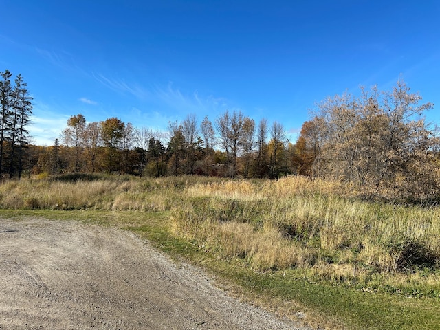 Listing photo 3 for TBD Riverbend Dr, Warroad MN 56763