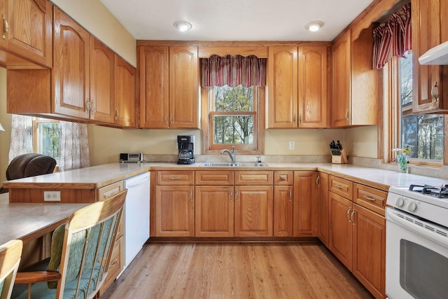 kitchen featuring white appliances, sink, kitchen peninsula, light hardwood / wood-style floors, and ventilation hood