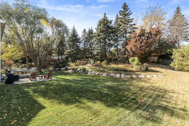 view of yard featuring a patio