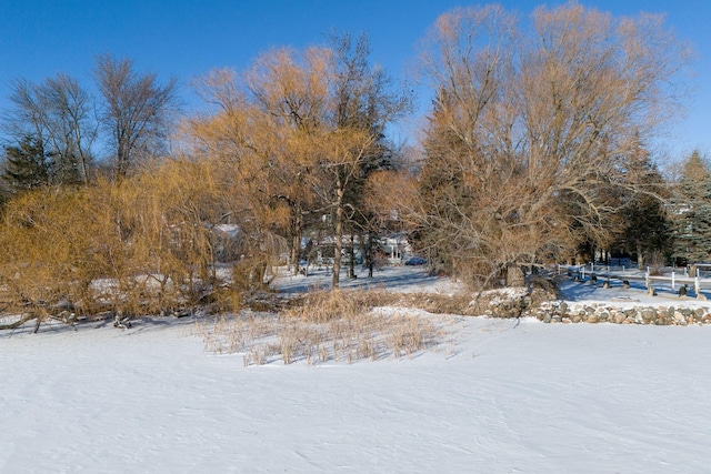 view of yard layered in snow