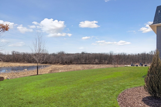 view of yard featuring a wooded view