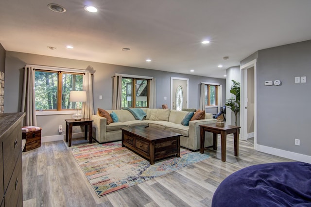 living room featuring light hardwood / wood-style flooring