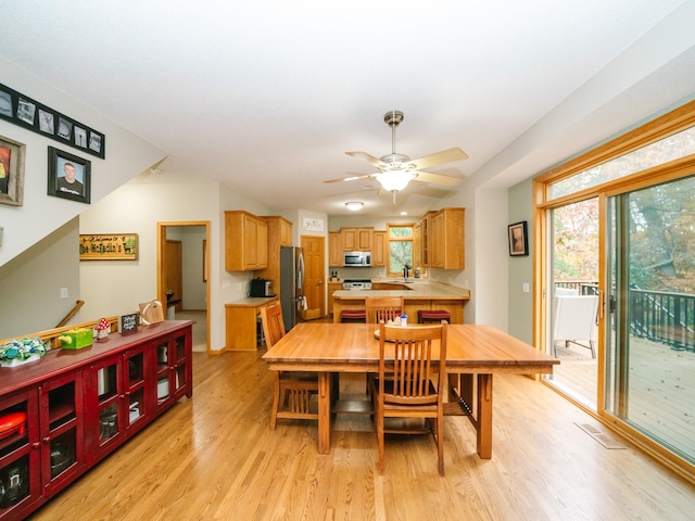 dining space with light hardwood / wood-style floors, ceiling fan, and a wealth of natural light