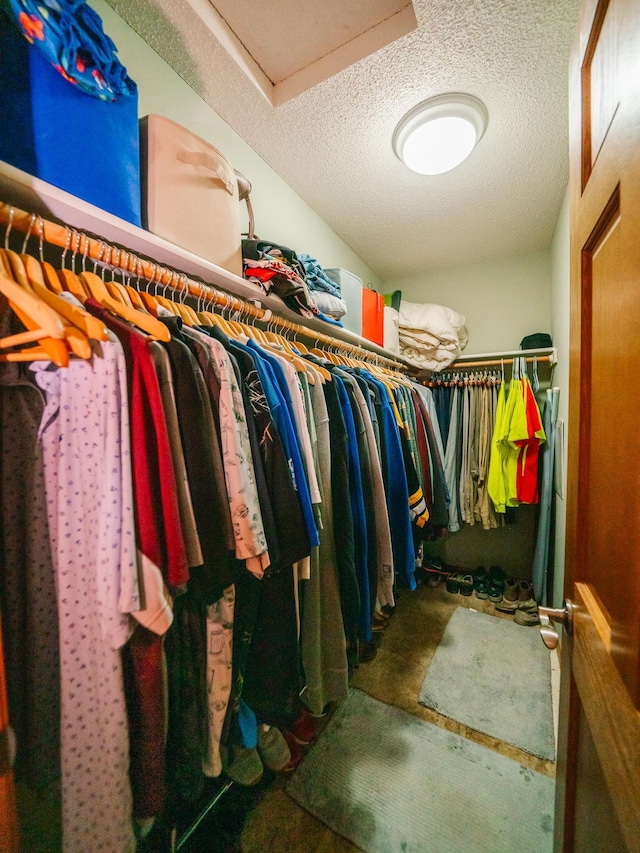 view of walk in closet