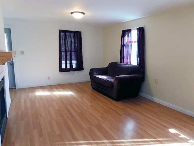 sitting room featuring light hardwood / wood-style floors