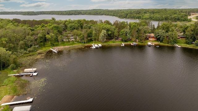 6494 Peppin Ln NE, Outing, MN 56662 - photo 5